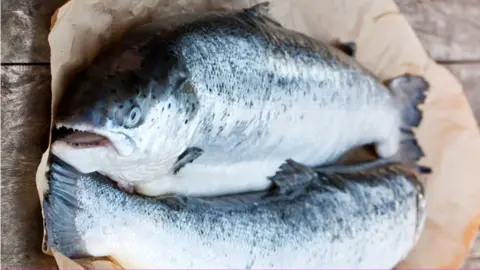 Getty Images Salmon