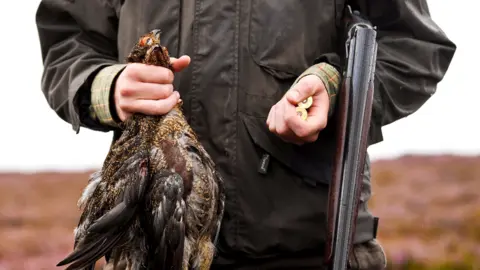Getty Images Grouse shooting in Dunkeld in Scotland
