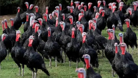 Reuters Turkey