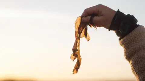 Owen Howells Seaweed being held
